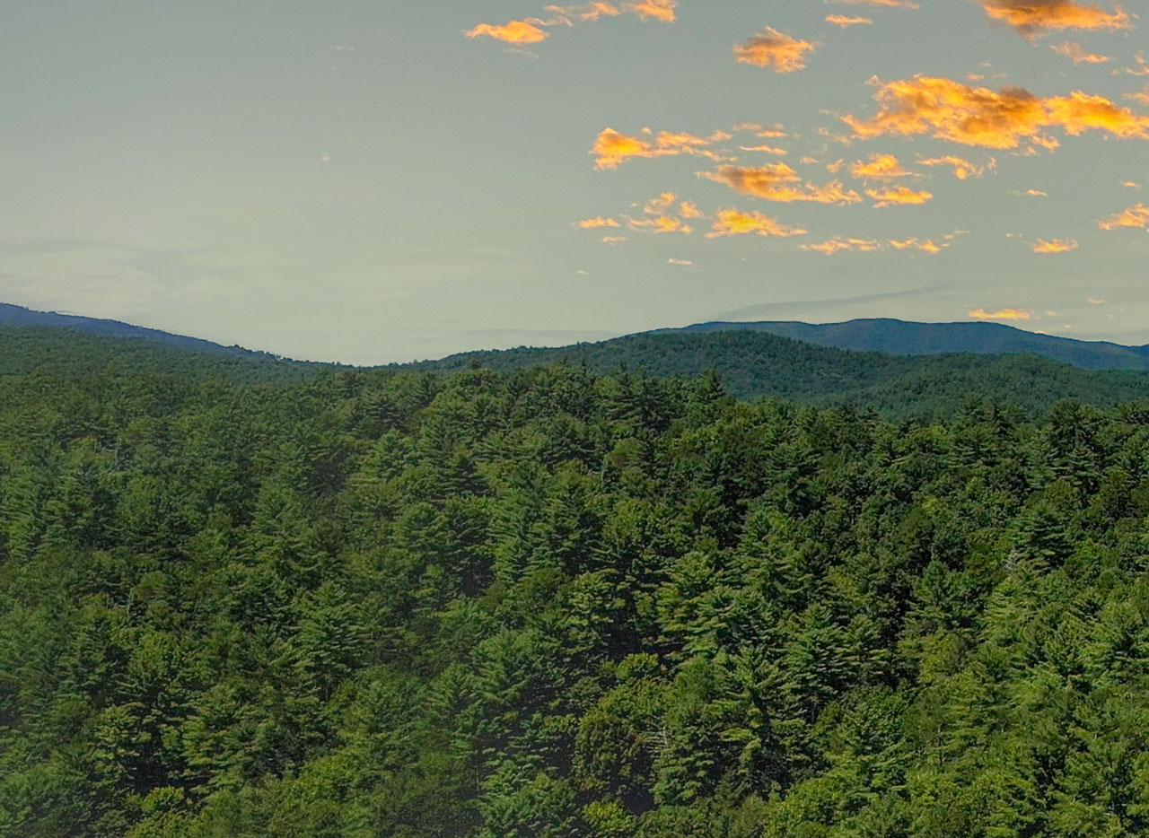 01 ellijay mountain land