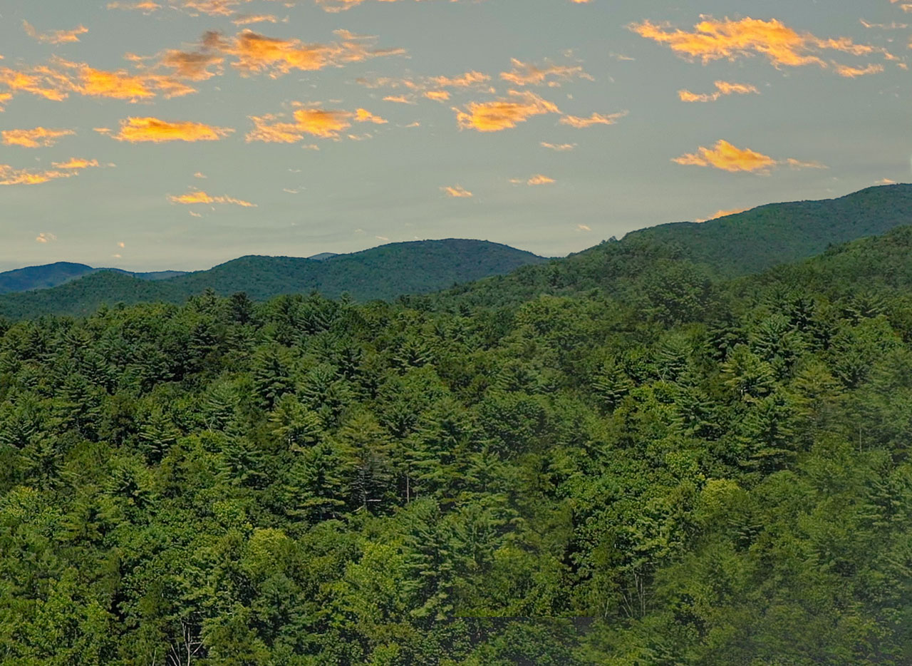 02 ellijay mountain land