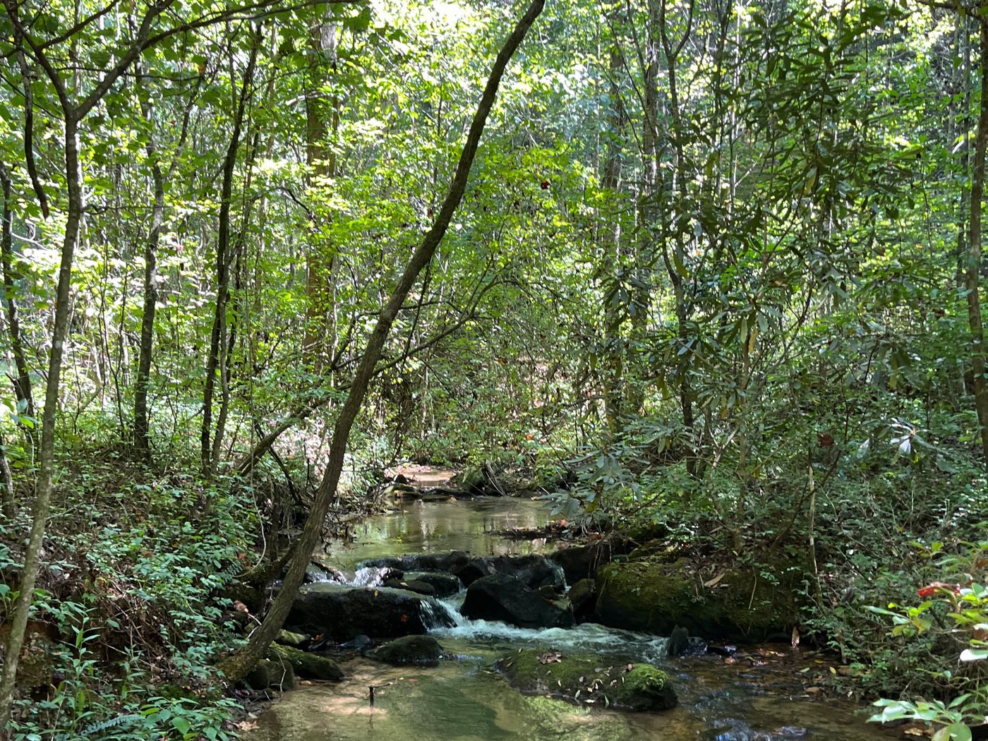 05 ellijay mountain land