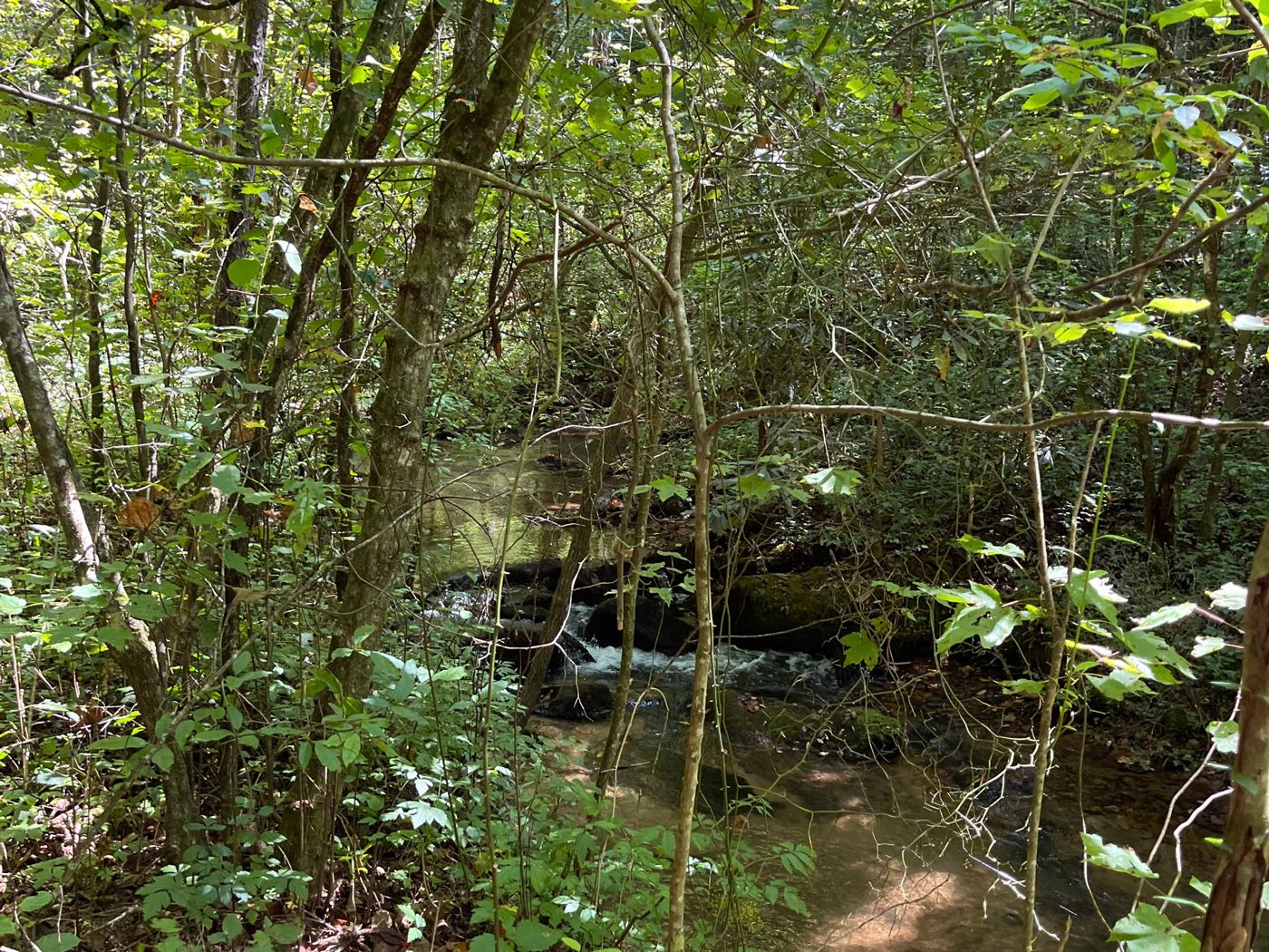 06 ellijay mountain land