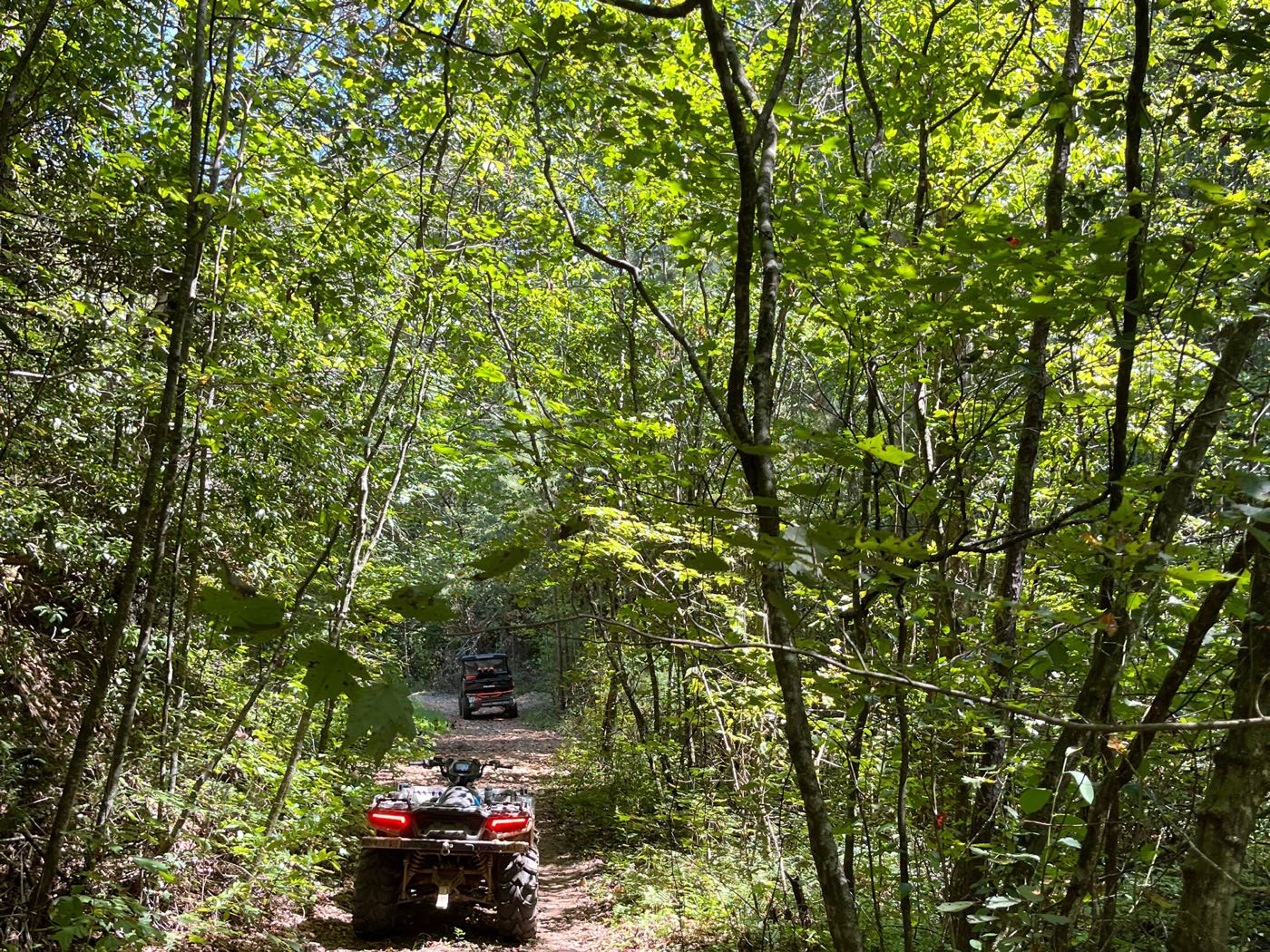 08 ellijay mountain land