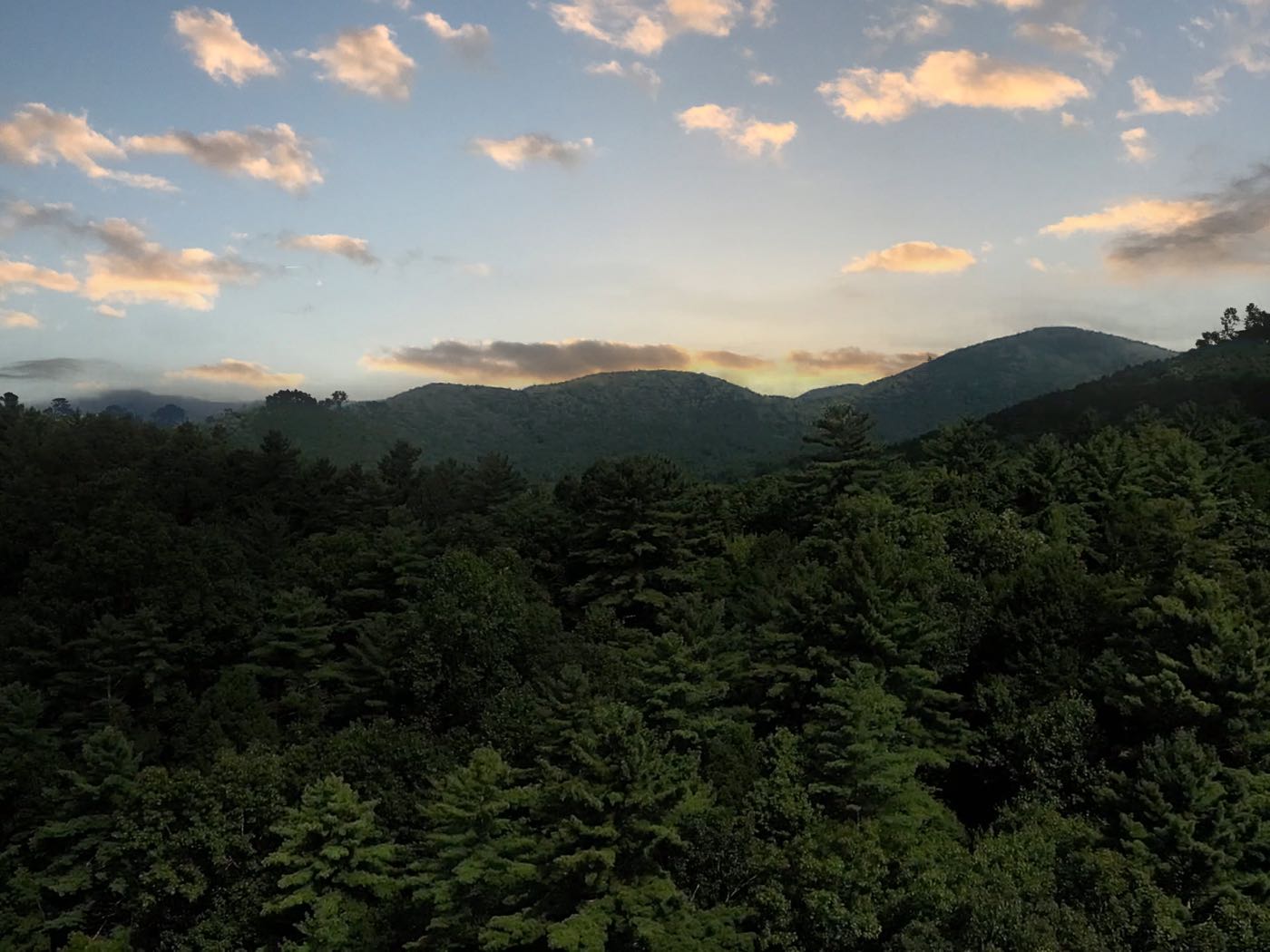 09 ellijay mountain land