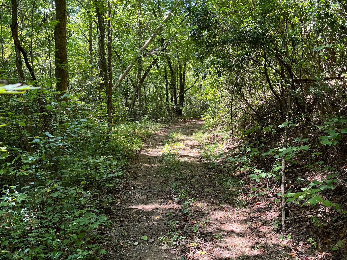 10 ellijay mountain land