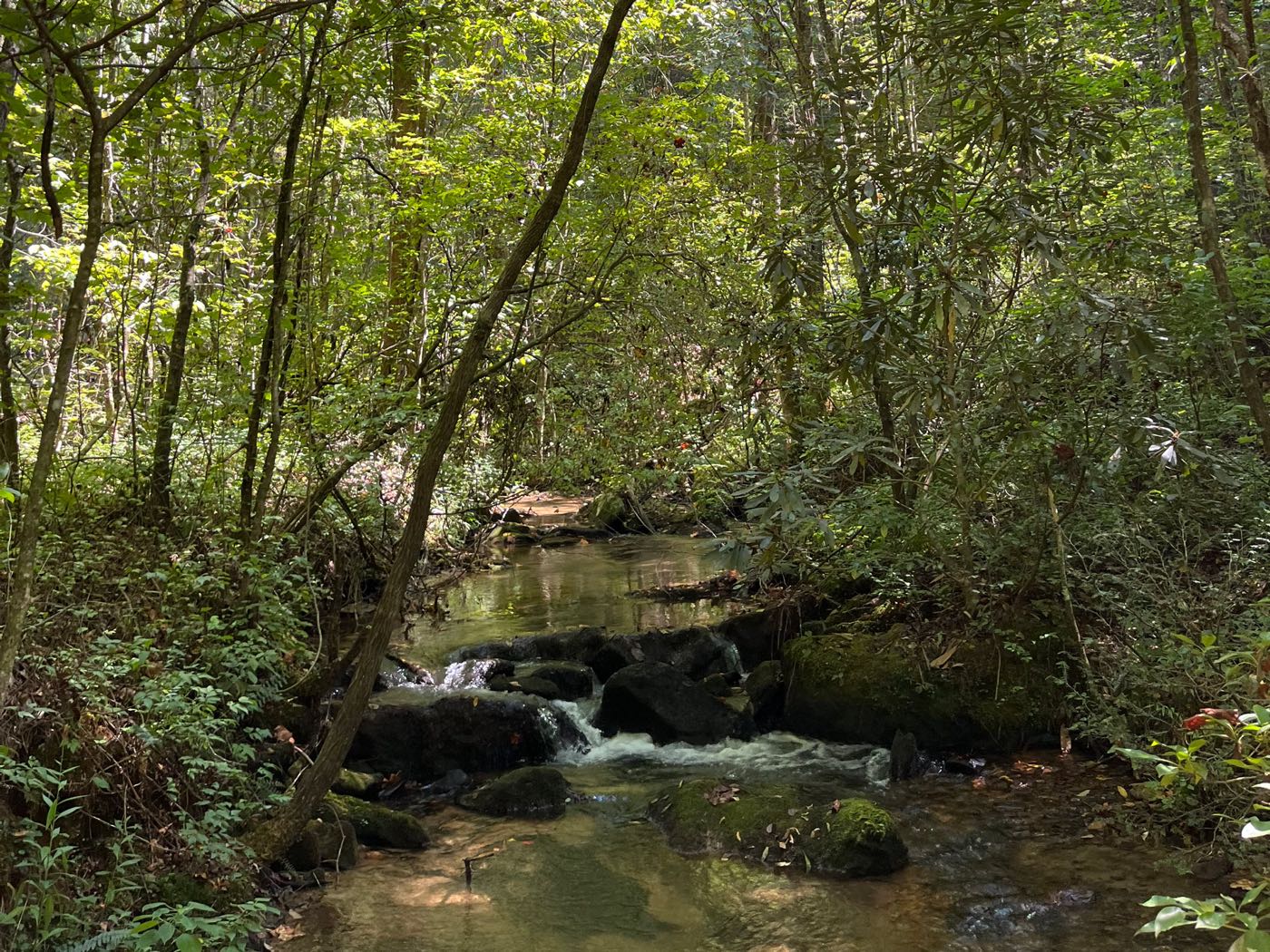 11 ellijay mountain land