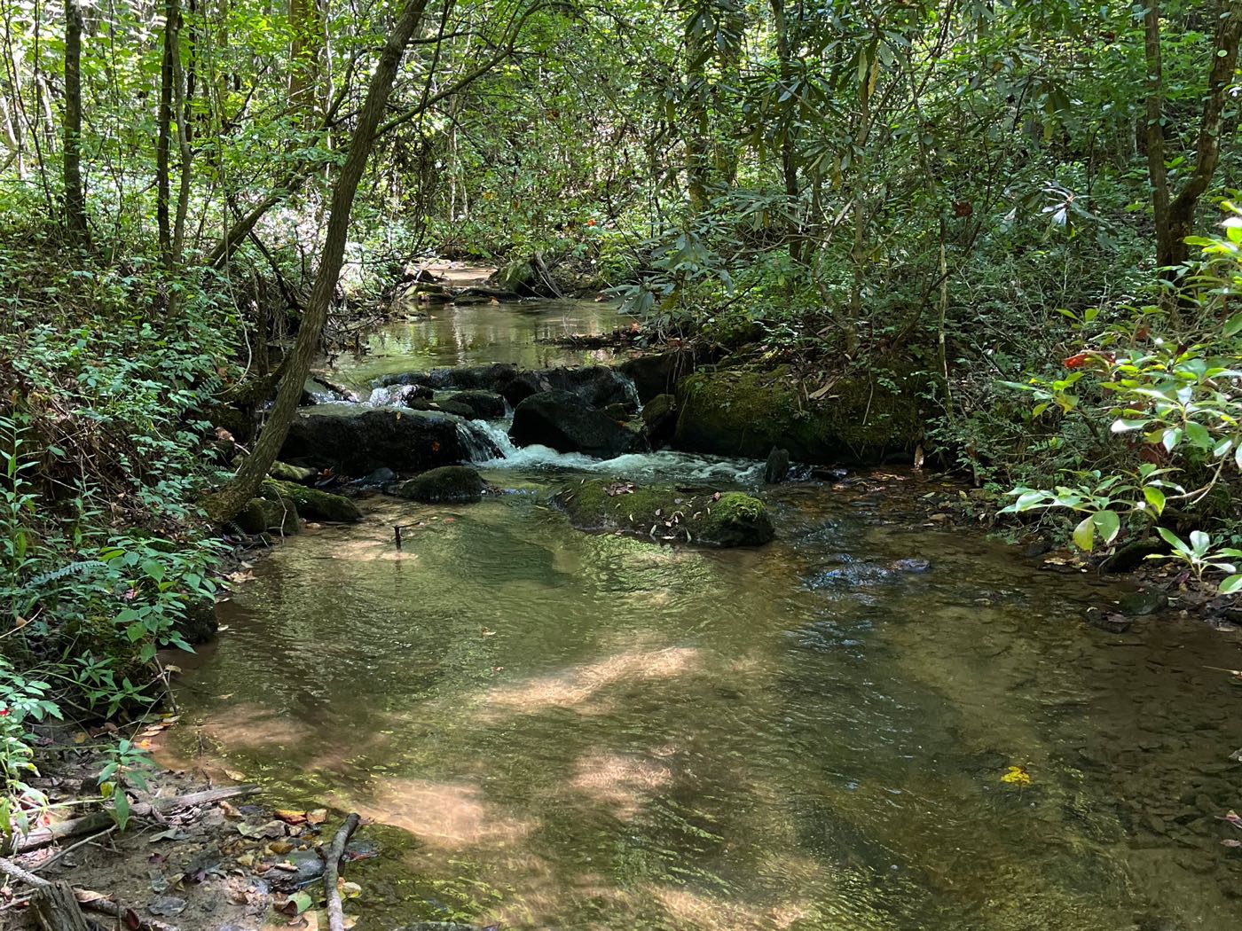 12 ellijay mountain land