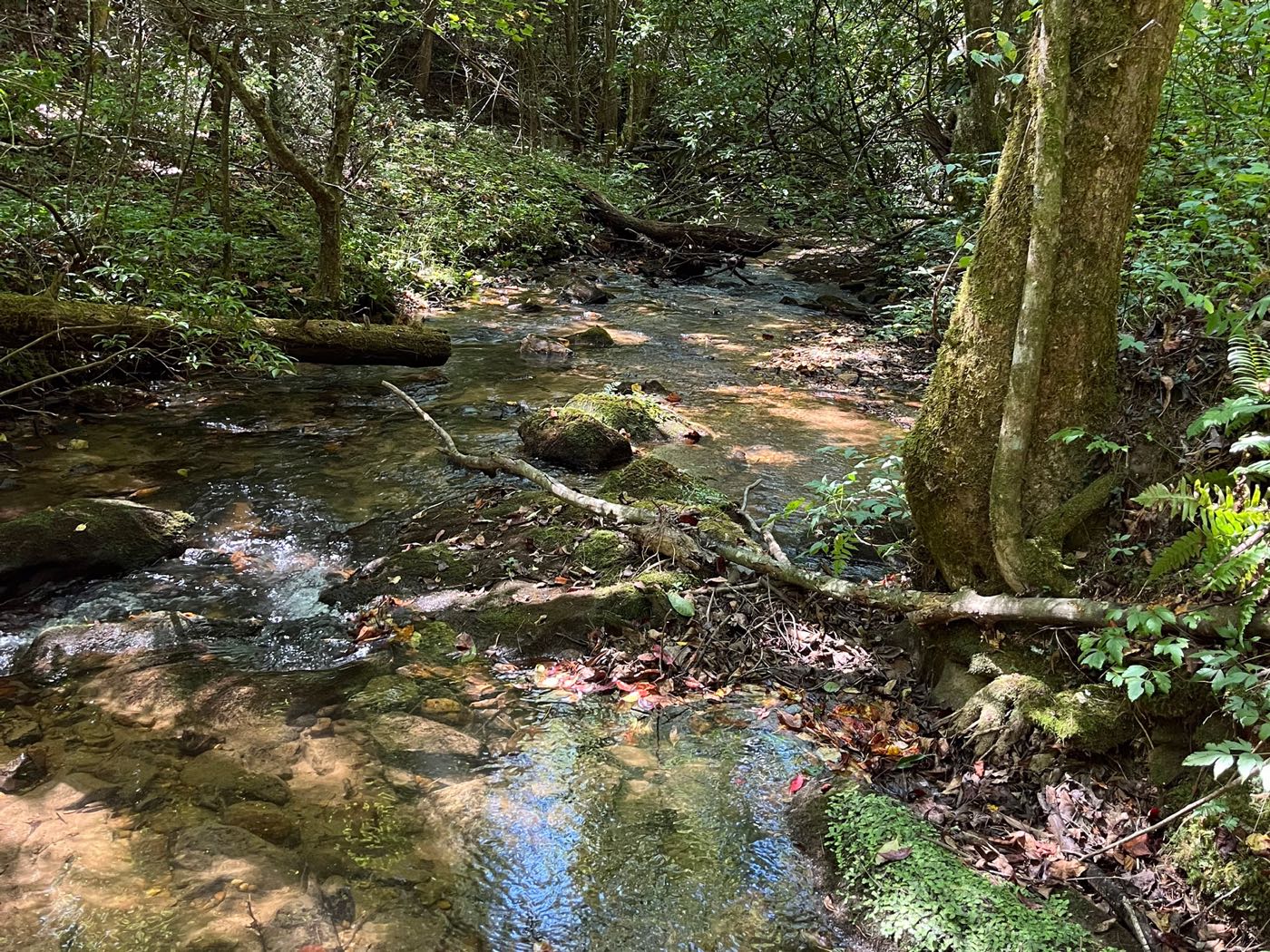 15 ellijay mountain land