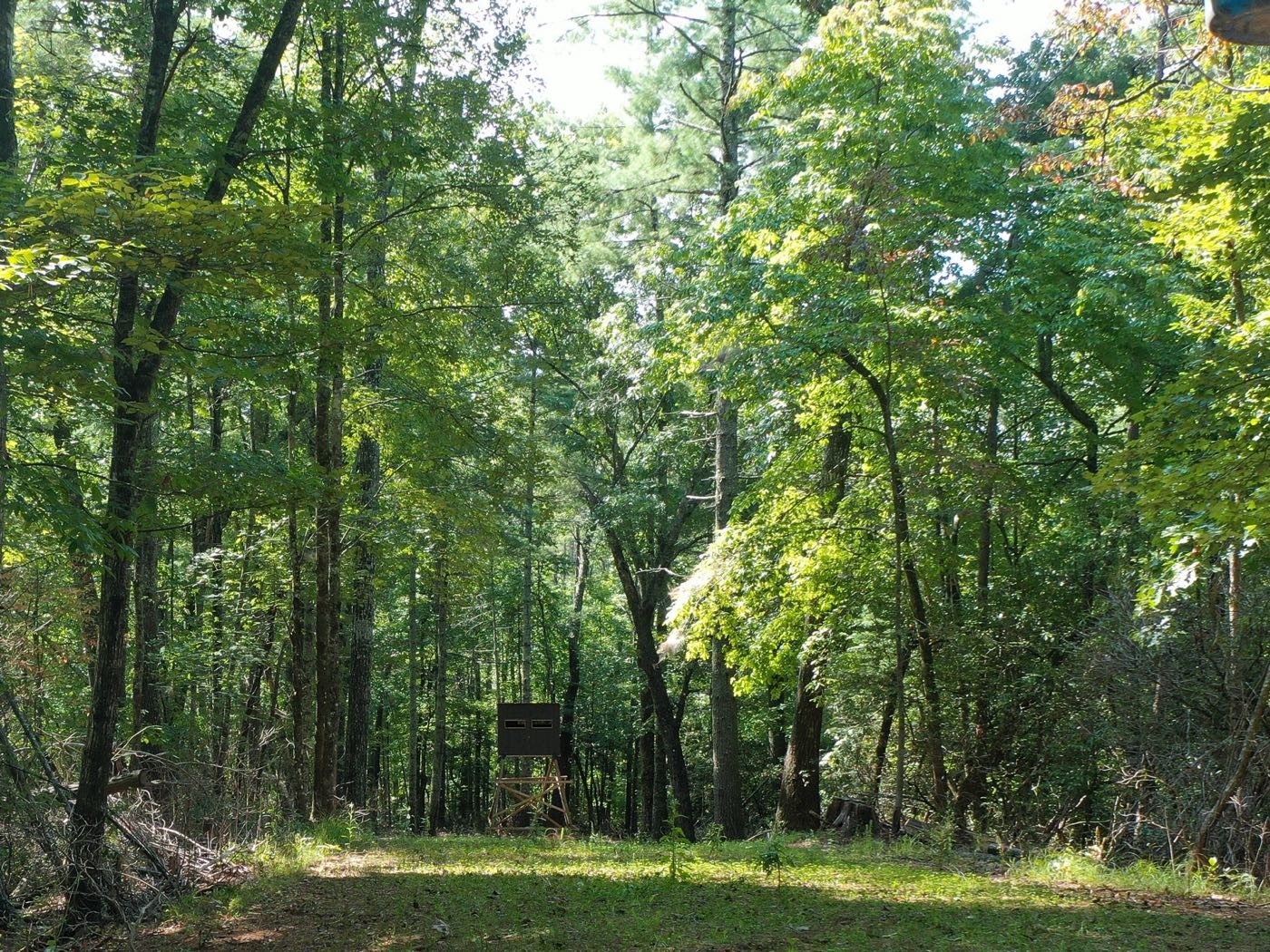 18 ellijay mountain land