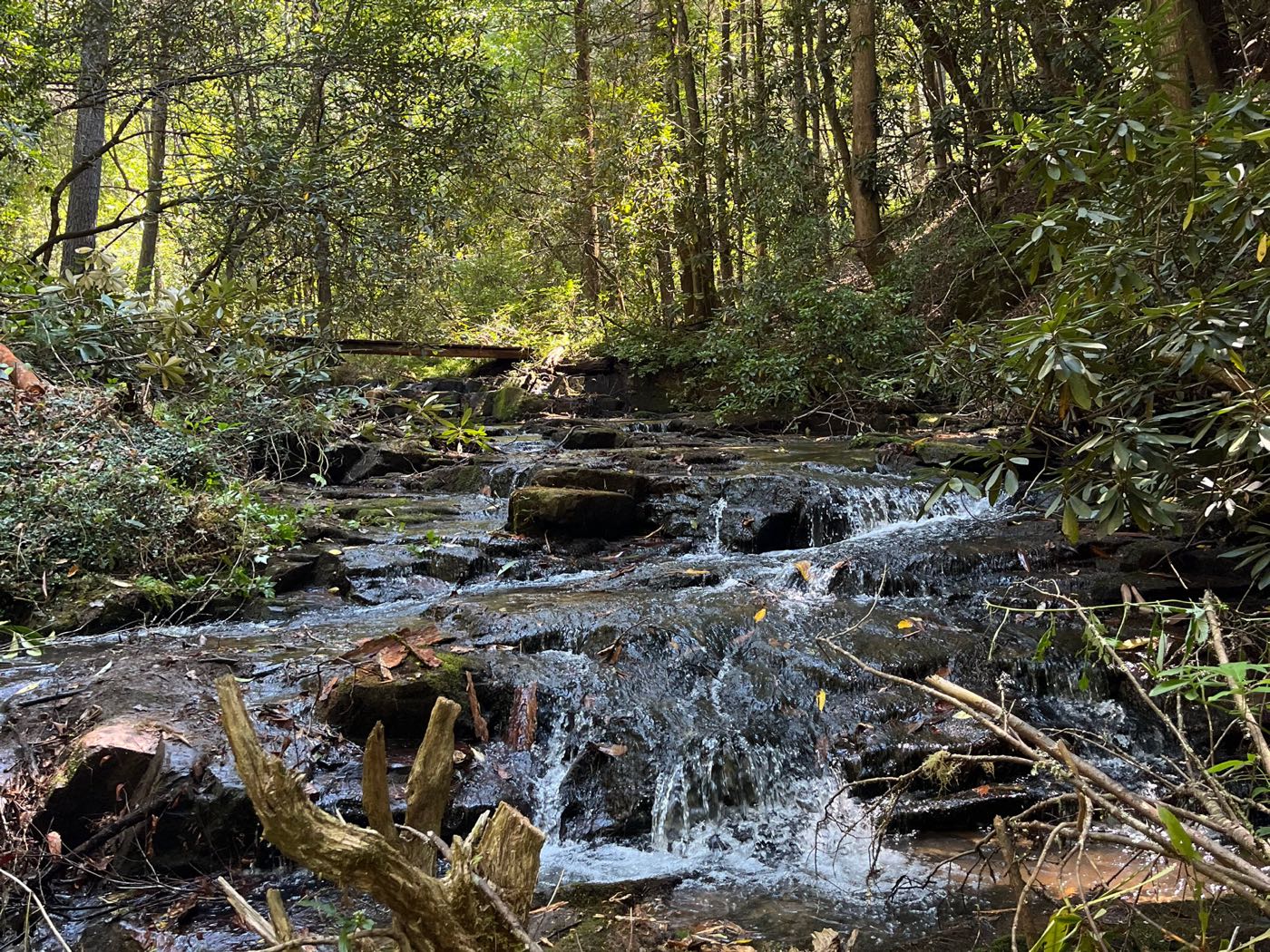 19 ellijay mountain land