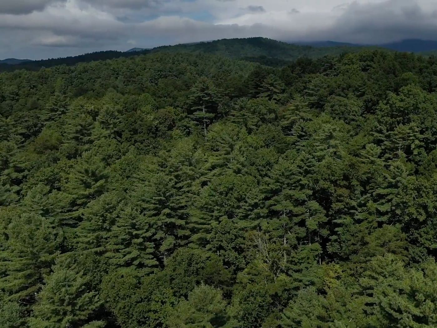 20 ellijay mountain land