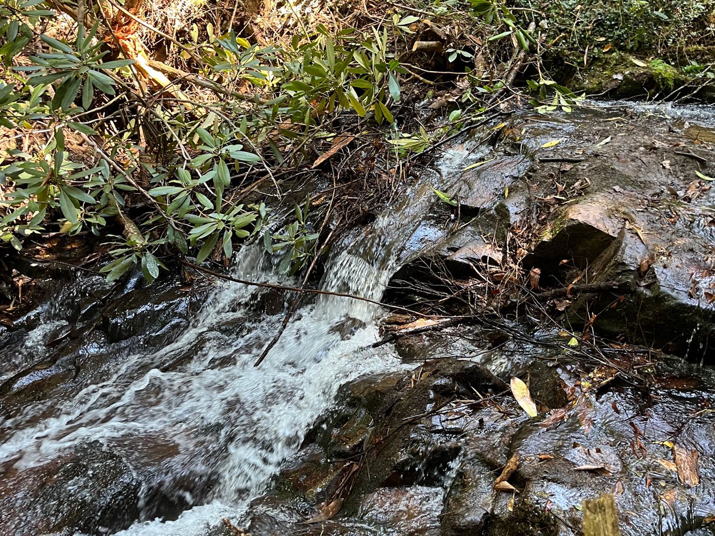 22 ellijay mountain land