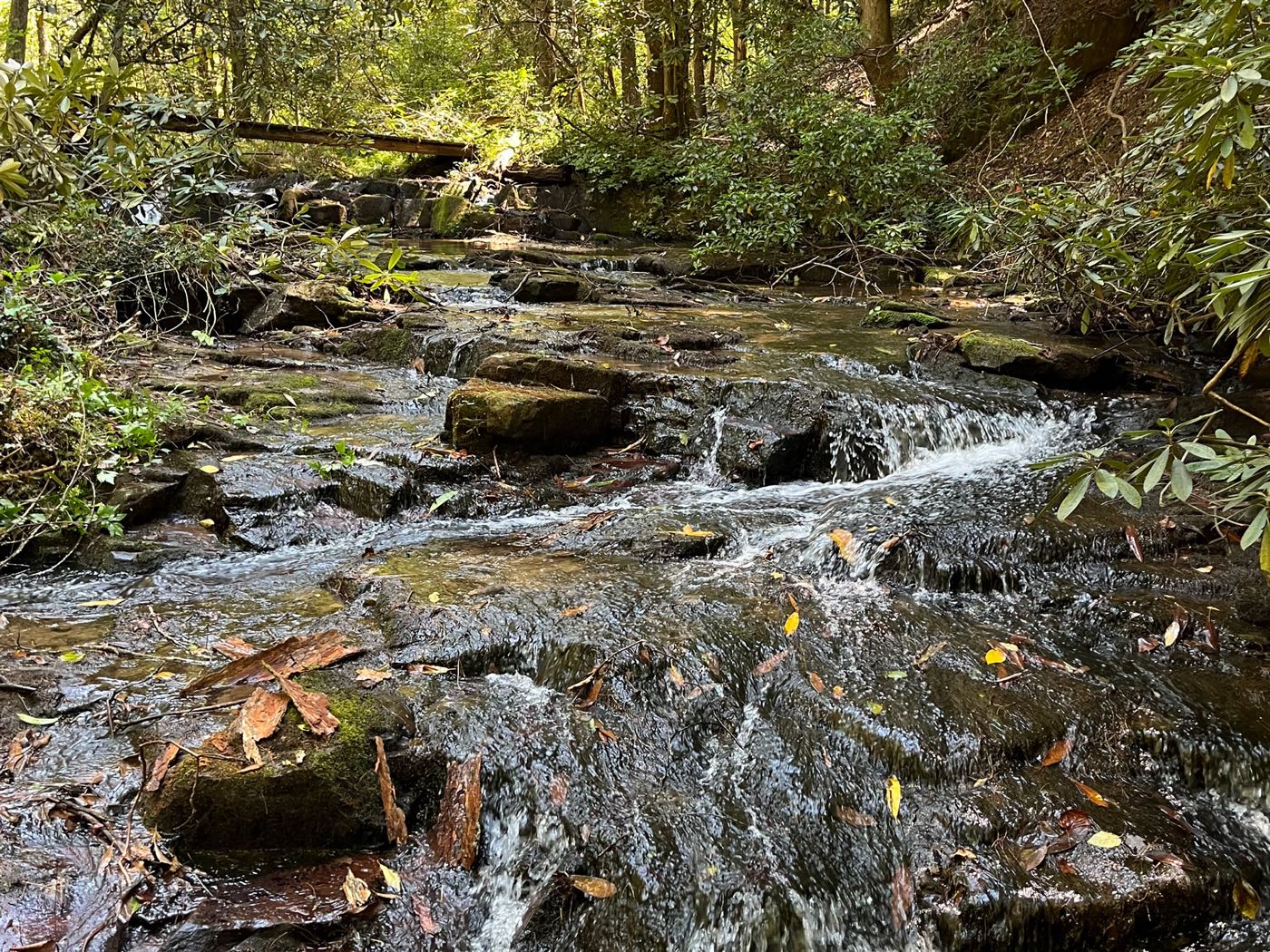 23 ellijay mountain land