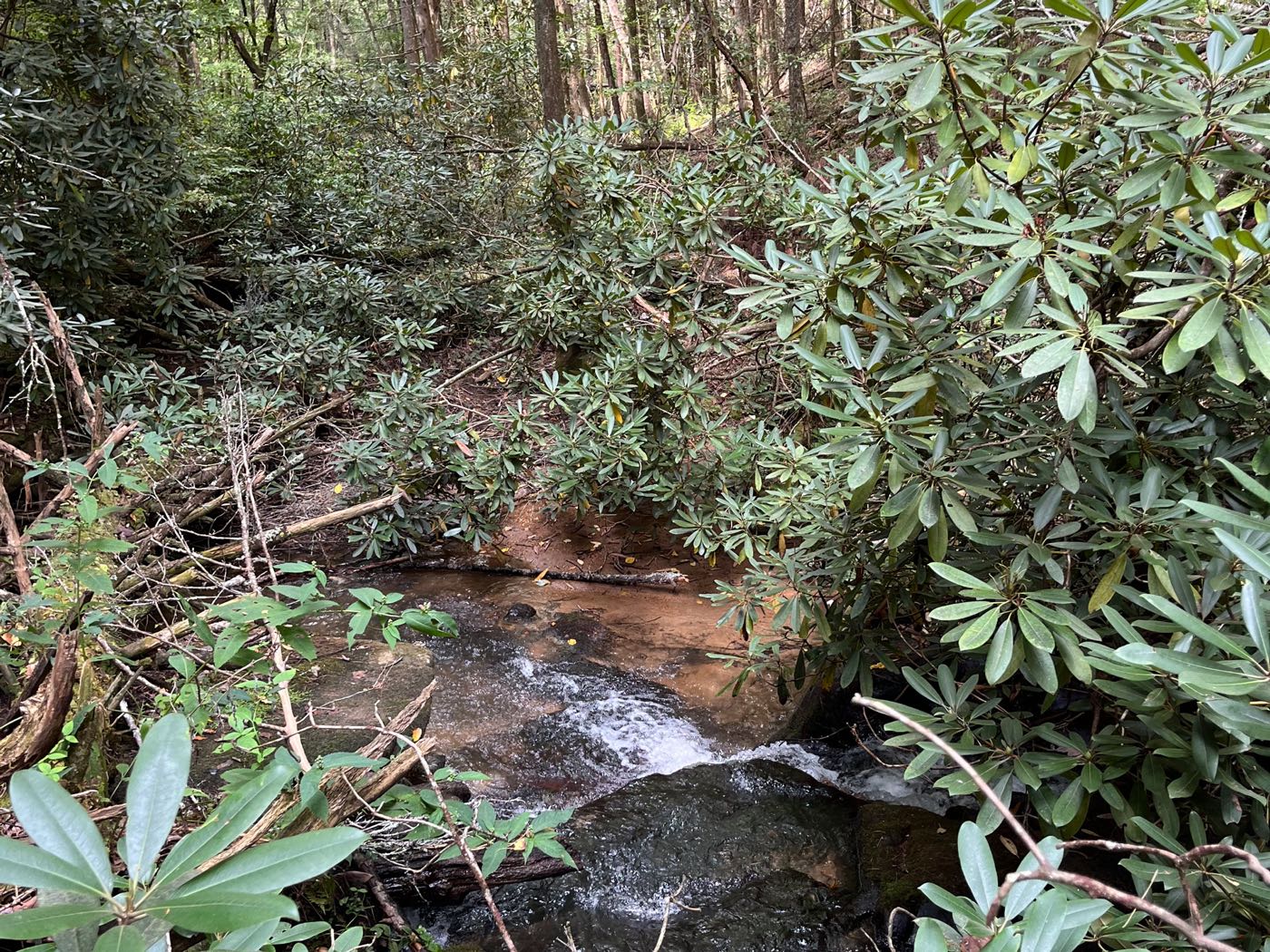 24 ellijay mountain land