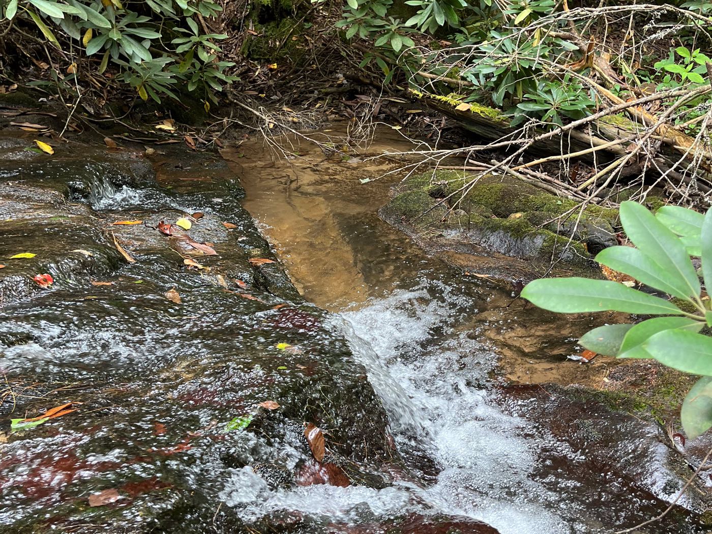 25 ellijay mountain land