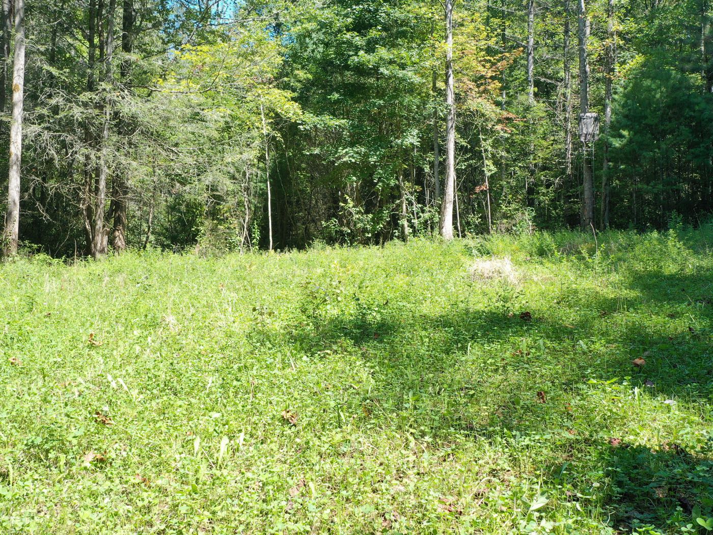 27 ellijay mountain land
