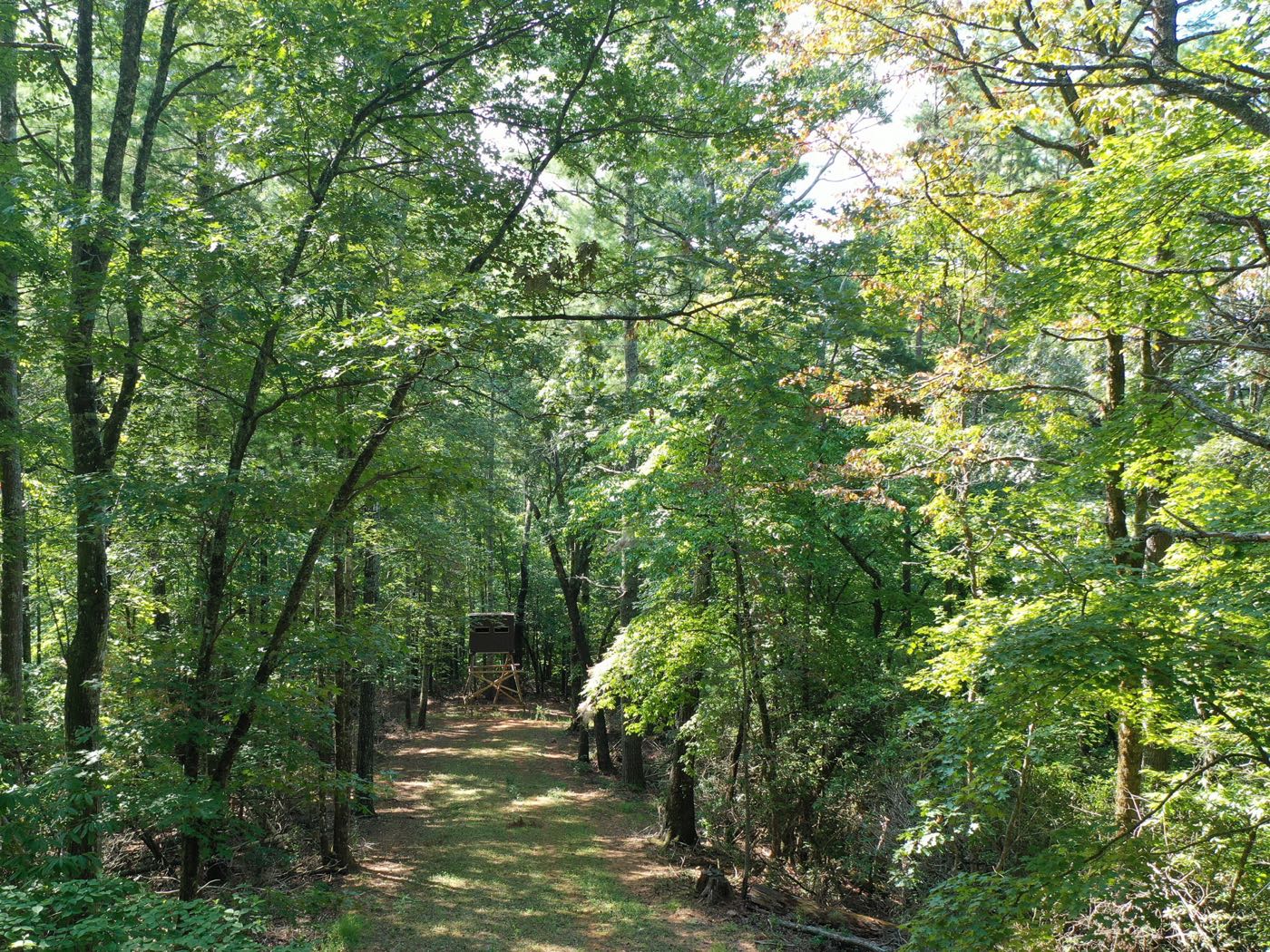 28 ellijay mountain land
