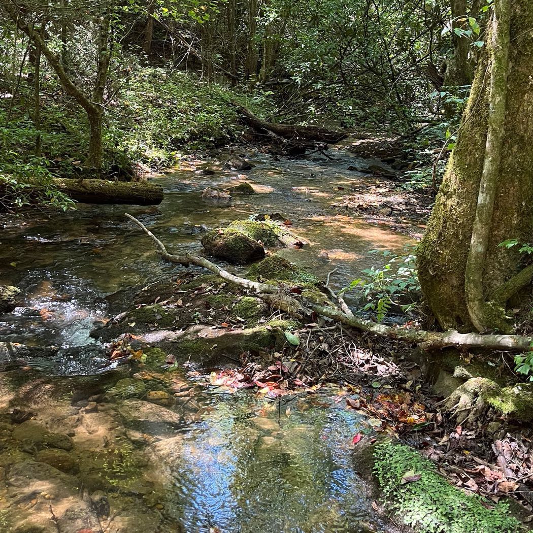 15 ellijay mountain land