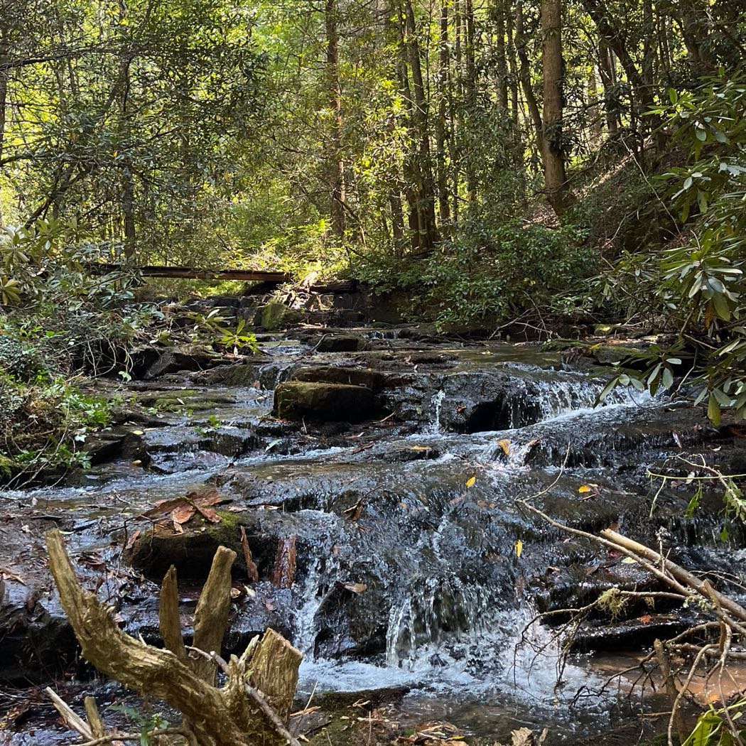 19 ellijay mountain land