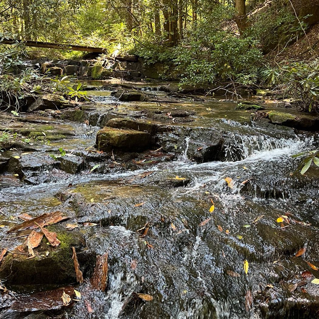 23 ellijay mountain land