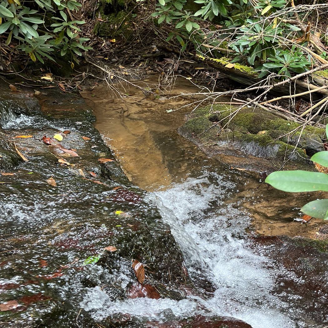 25 ellijay mountain land