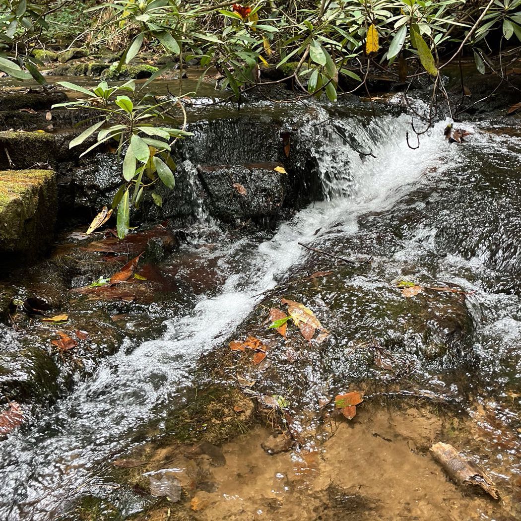 26 ellijay mountain land