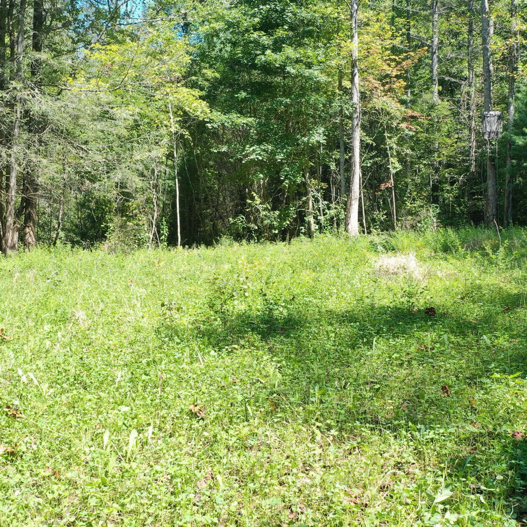 27 ellijay mountain land