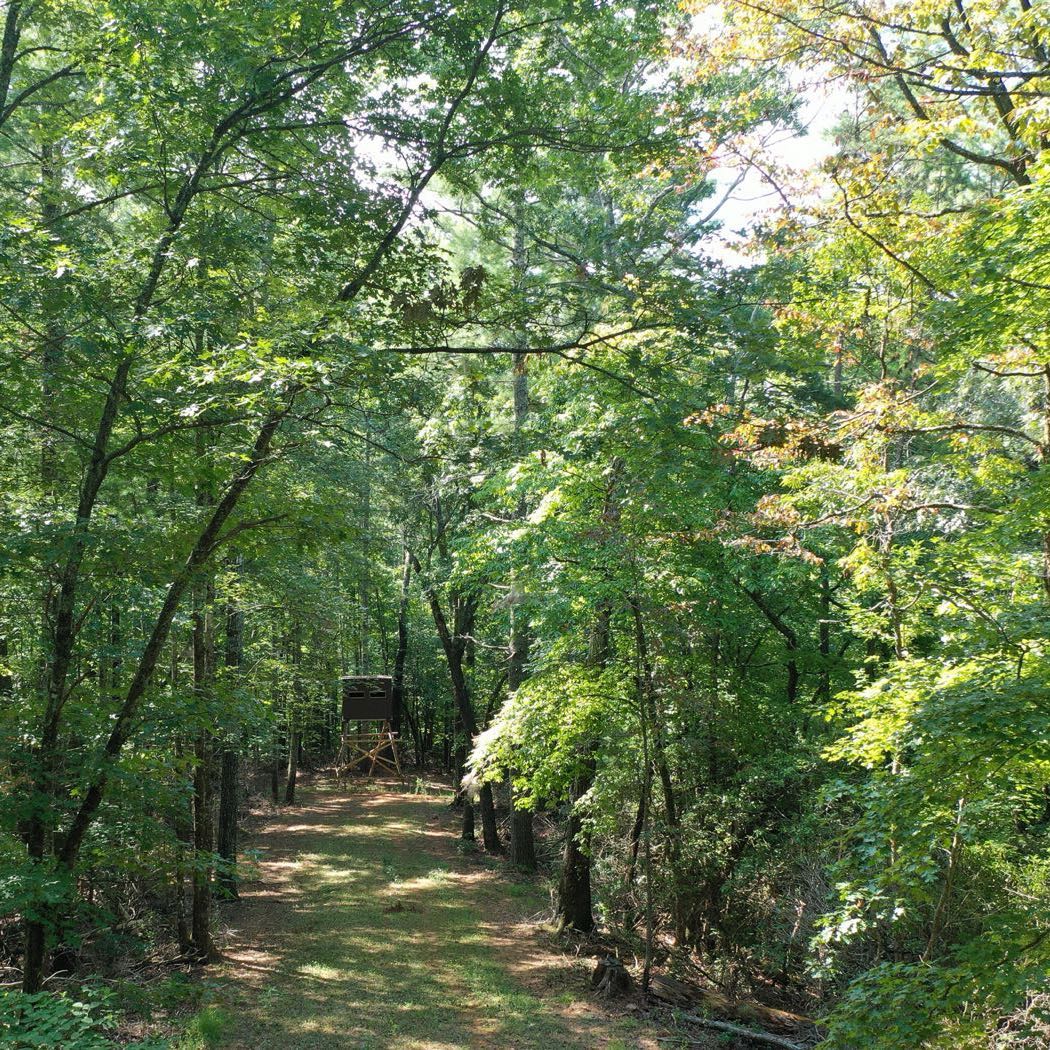 28 ellijay mountain land