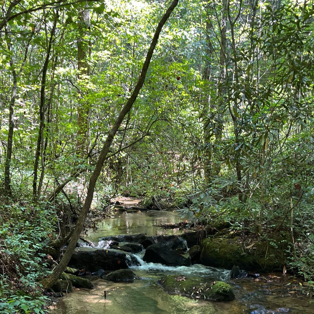 05 ellijay mountain land