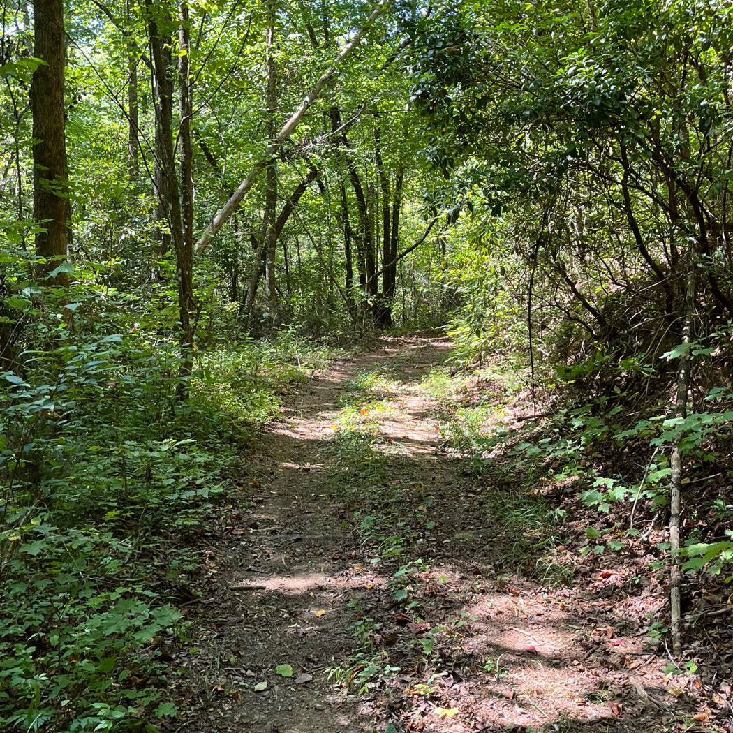 10 ellijay mountain land