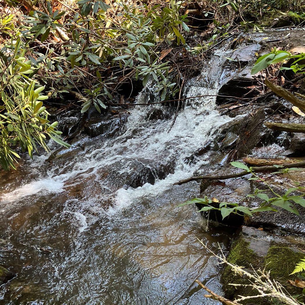 17 ellijay mountain land